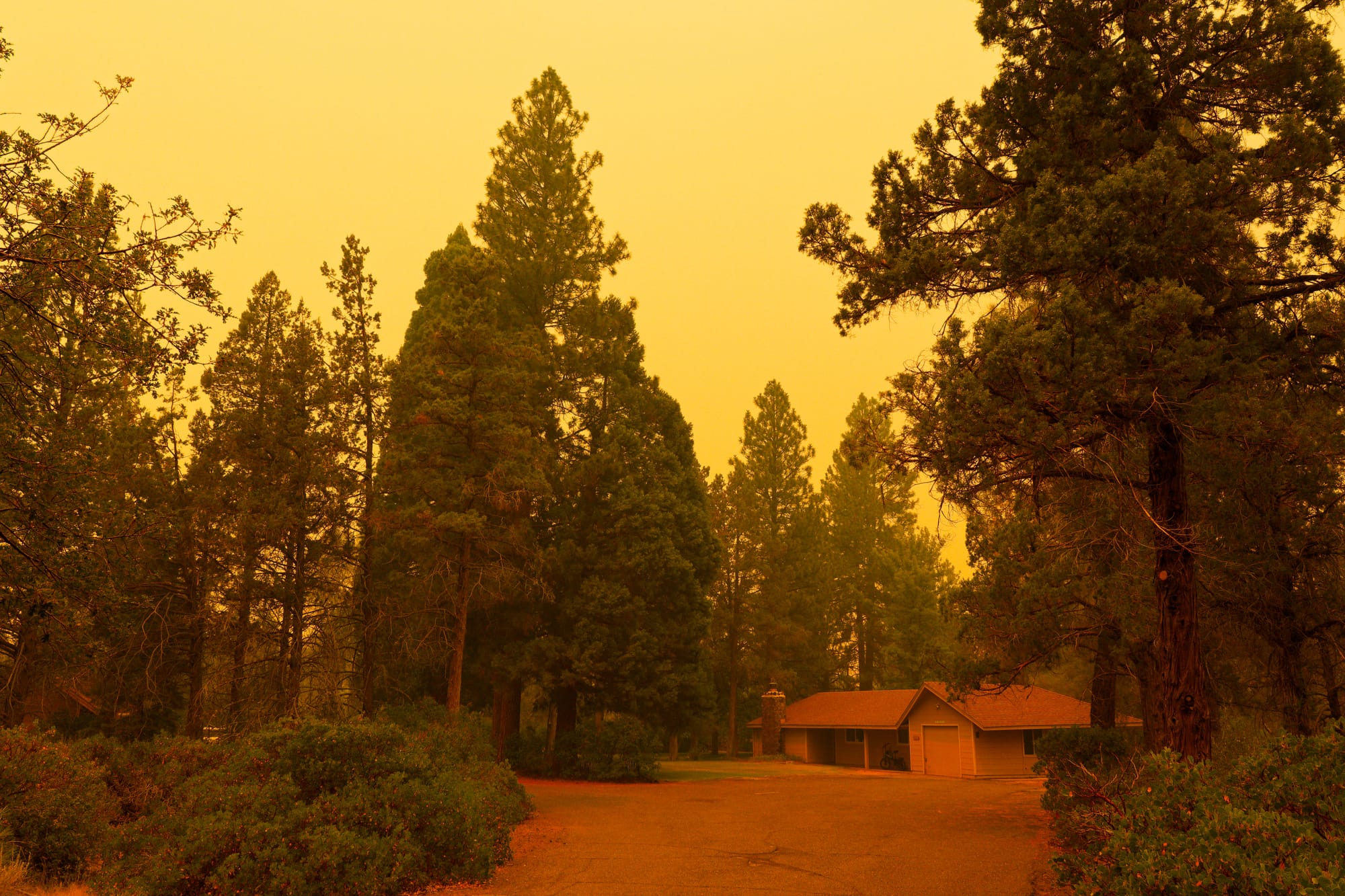 Park Fire (California, 2024)