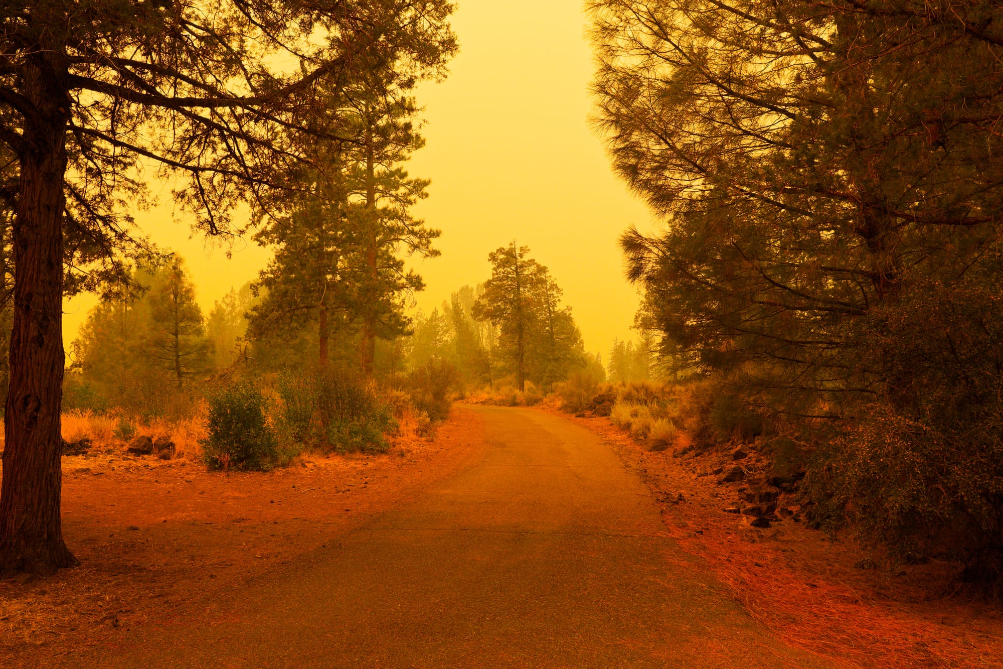 Park Fire (California, 2024)